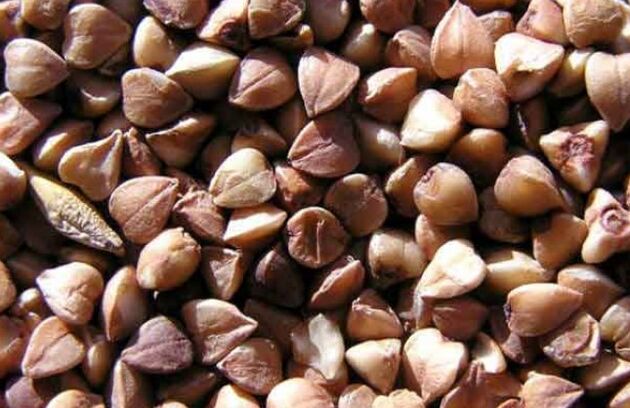 Ngaherehere Buckwheat